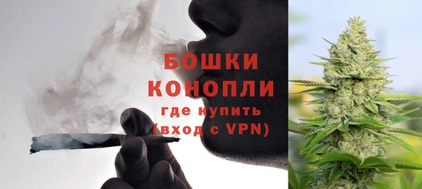крисы Верхний Тагил