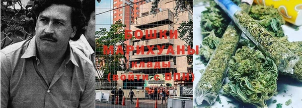 шишки Бородино