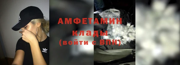 крисы Верхний Тагил