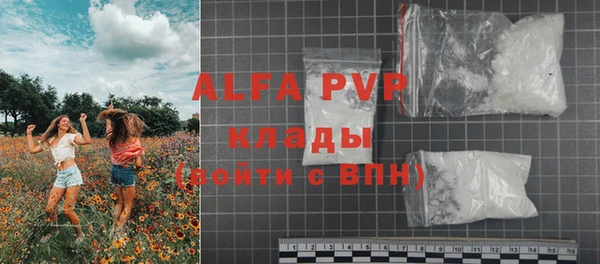 крисы Верхний Тагил