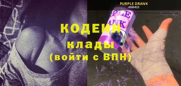 крисы Верхний Тагил