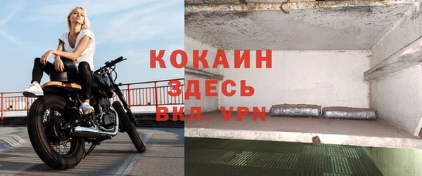 крисы Верхний Тагил