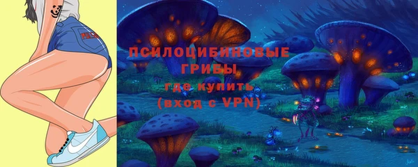 крисы Верхний Тагил